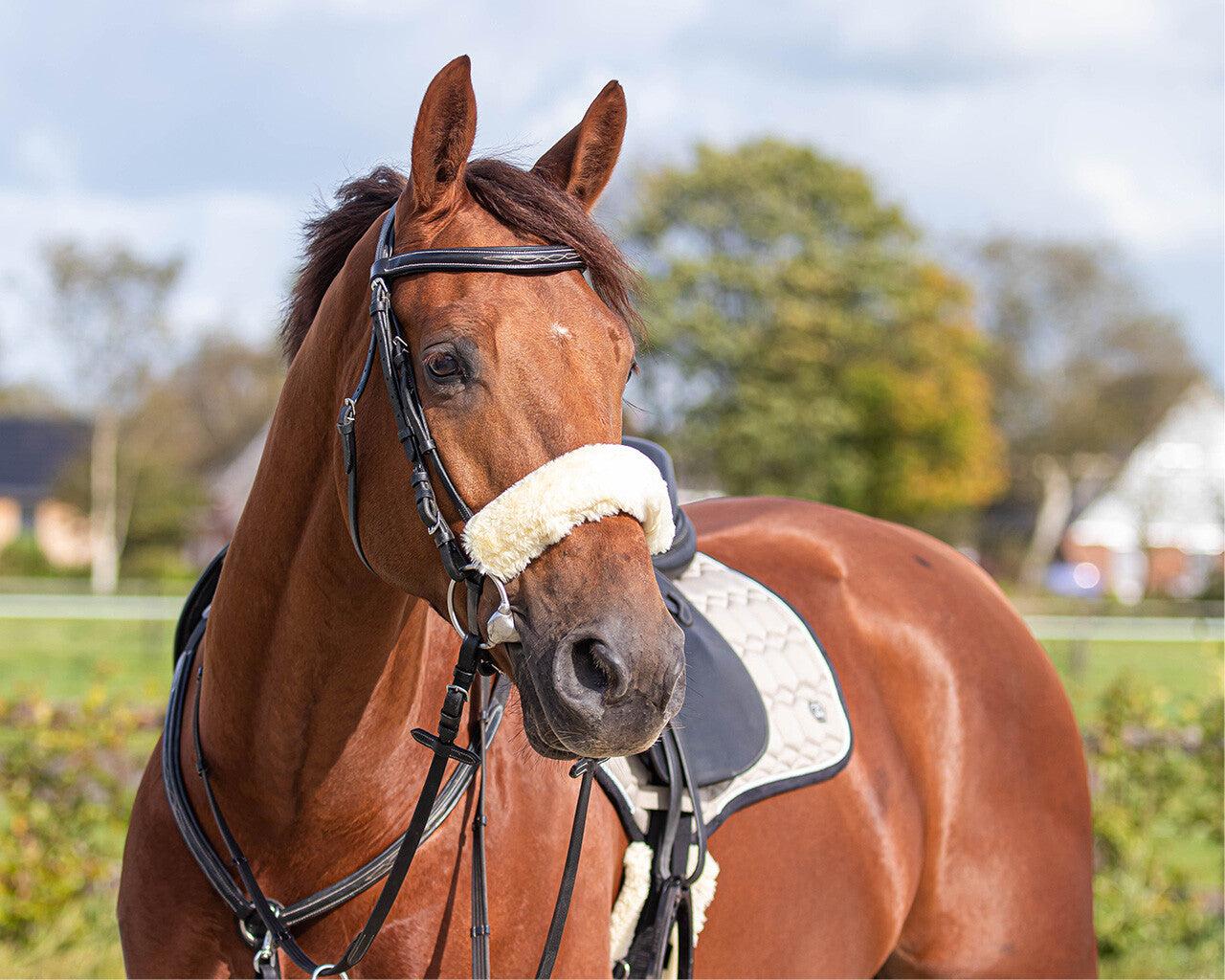 Copri Testiera in Pelliccia Sintetica – Comfort per Cavalli Sensibili | El Gaucho Sport