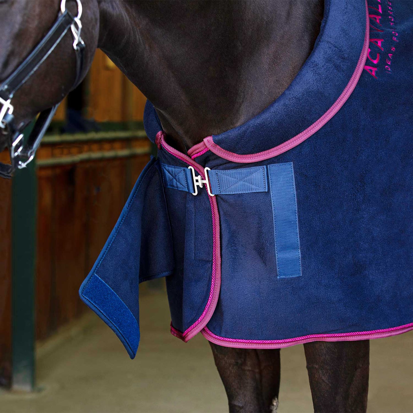 Coperta Box Pile 800 gr con Colletto Imbottito Acavallo – Comfort extra per il tuo cavallo | El Gaucho Sport