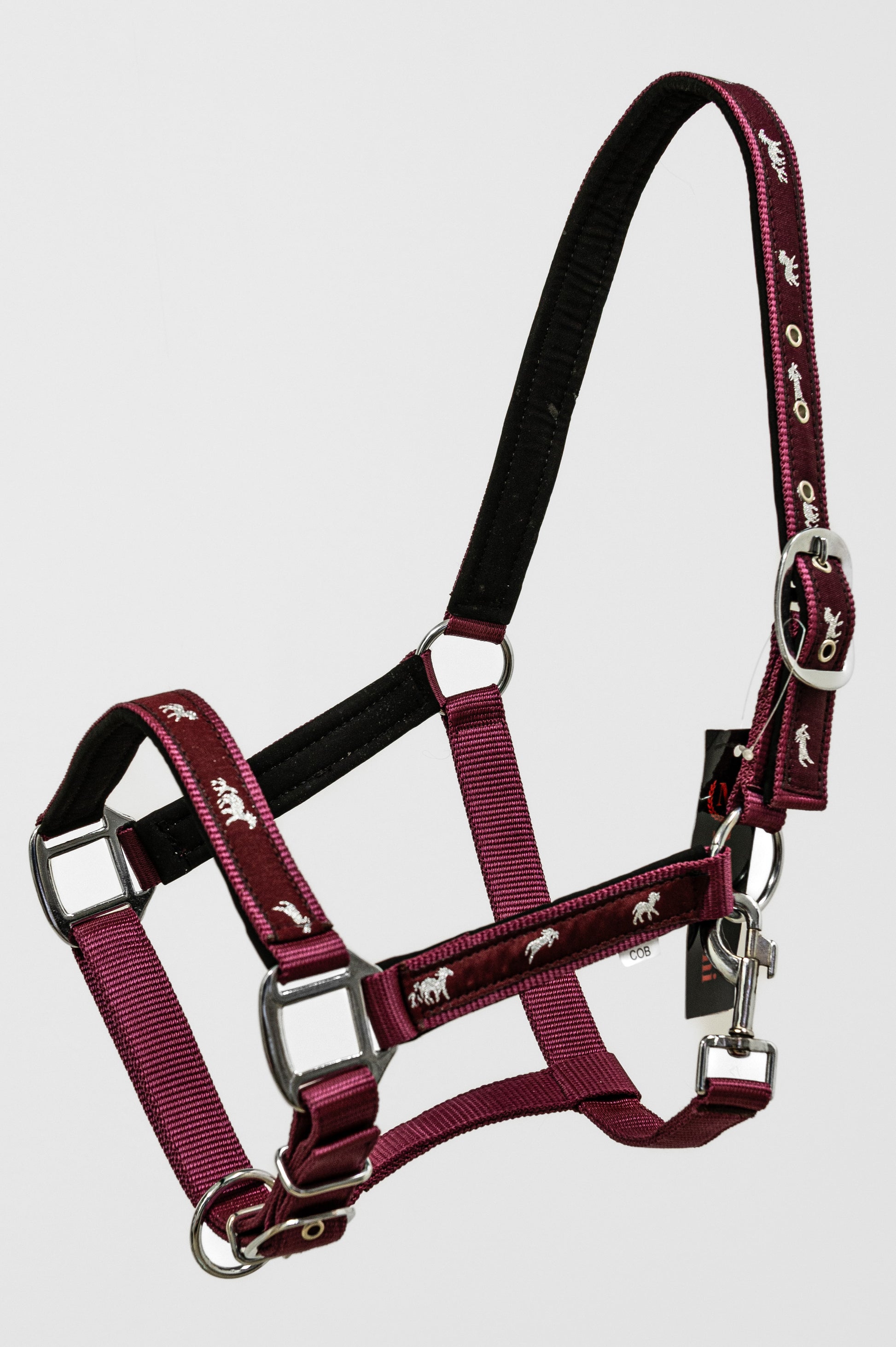 Capezza Cavallo VARENNE in Nylon con Imbottitura in Neoprene | El gaucho sport