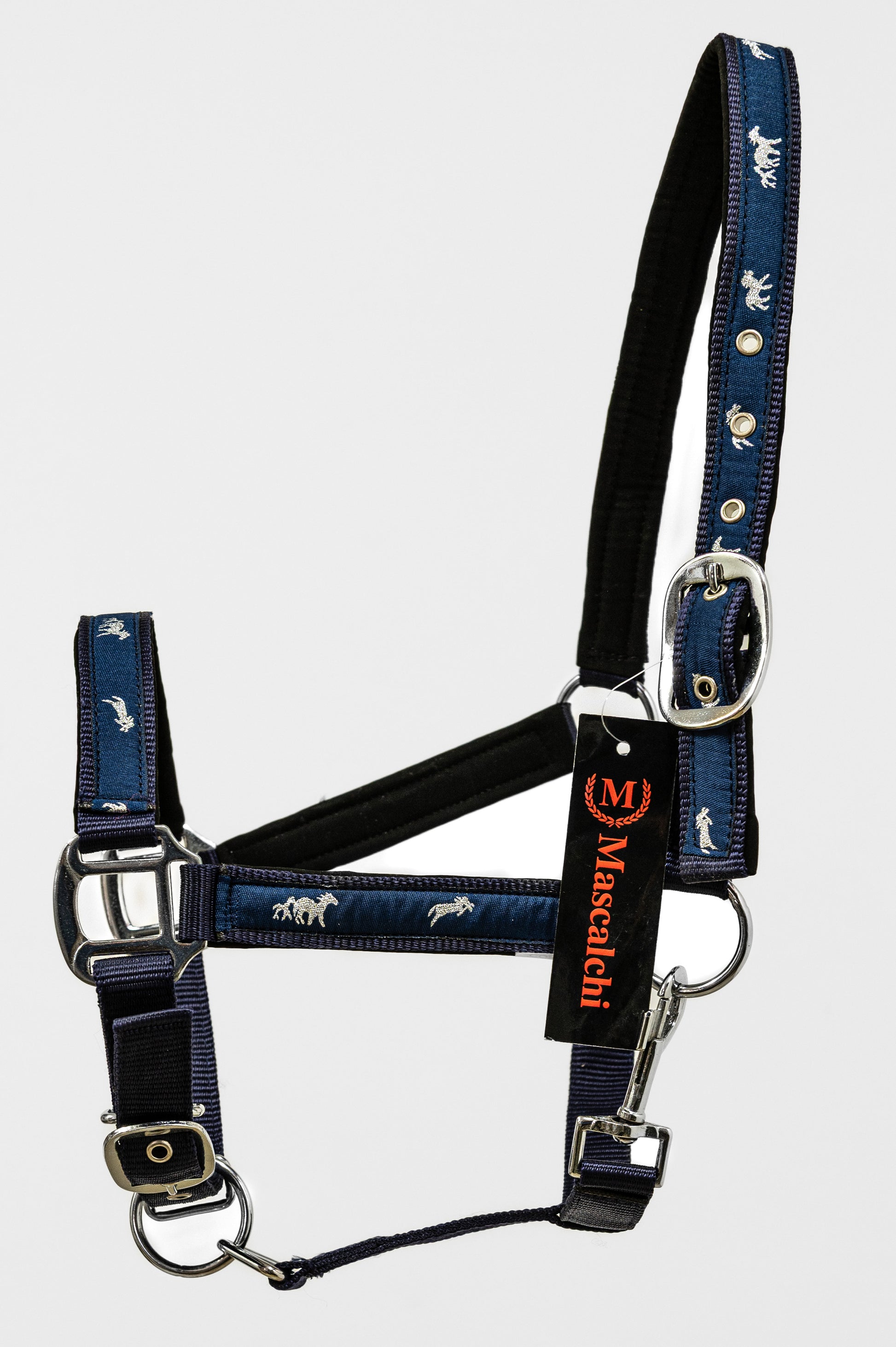 Capezza Cavallo VARENNE in Nylon con Imbottitura in Neoprene | El gaucho sport