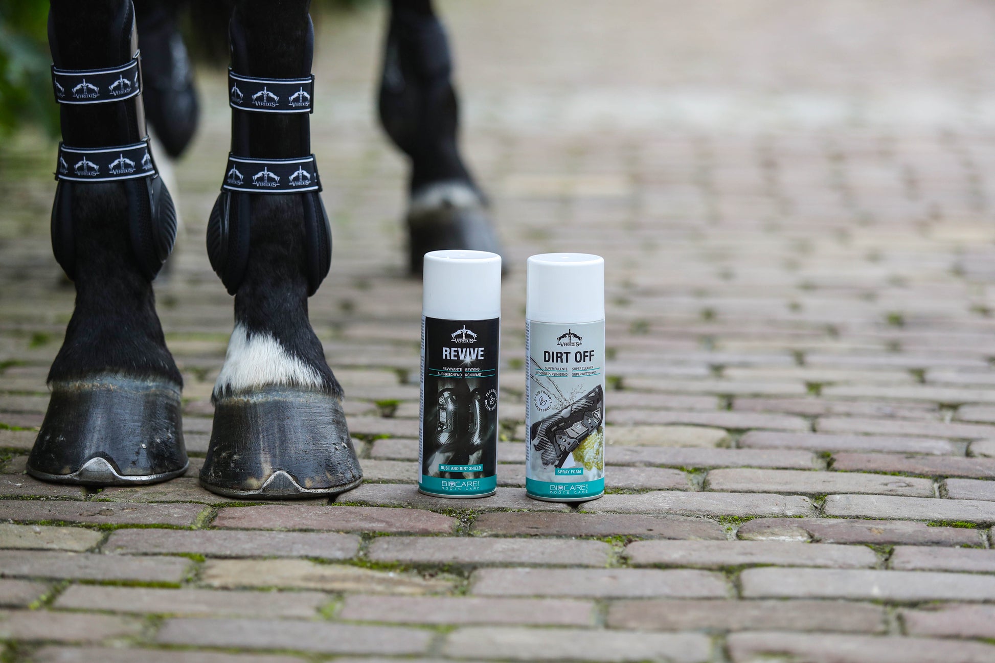 Spray Ravvivante per Stinchiere Cavallo | Revive Spray