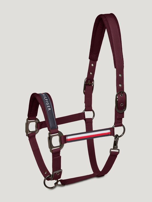Conjunto Yale con cabestro y cuerda