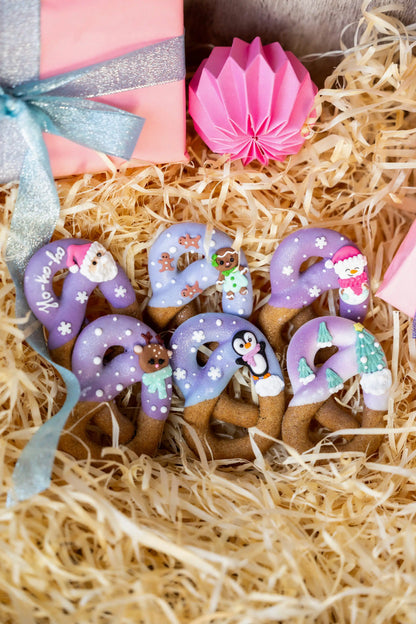 Box 6 pretzels - XMAS EDITION