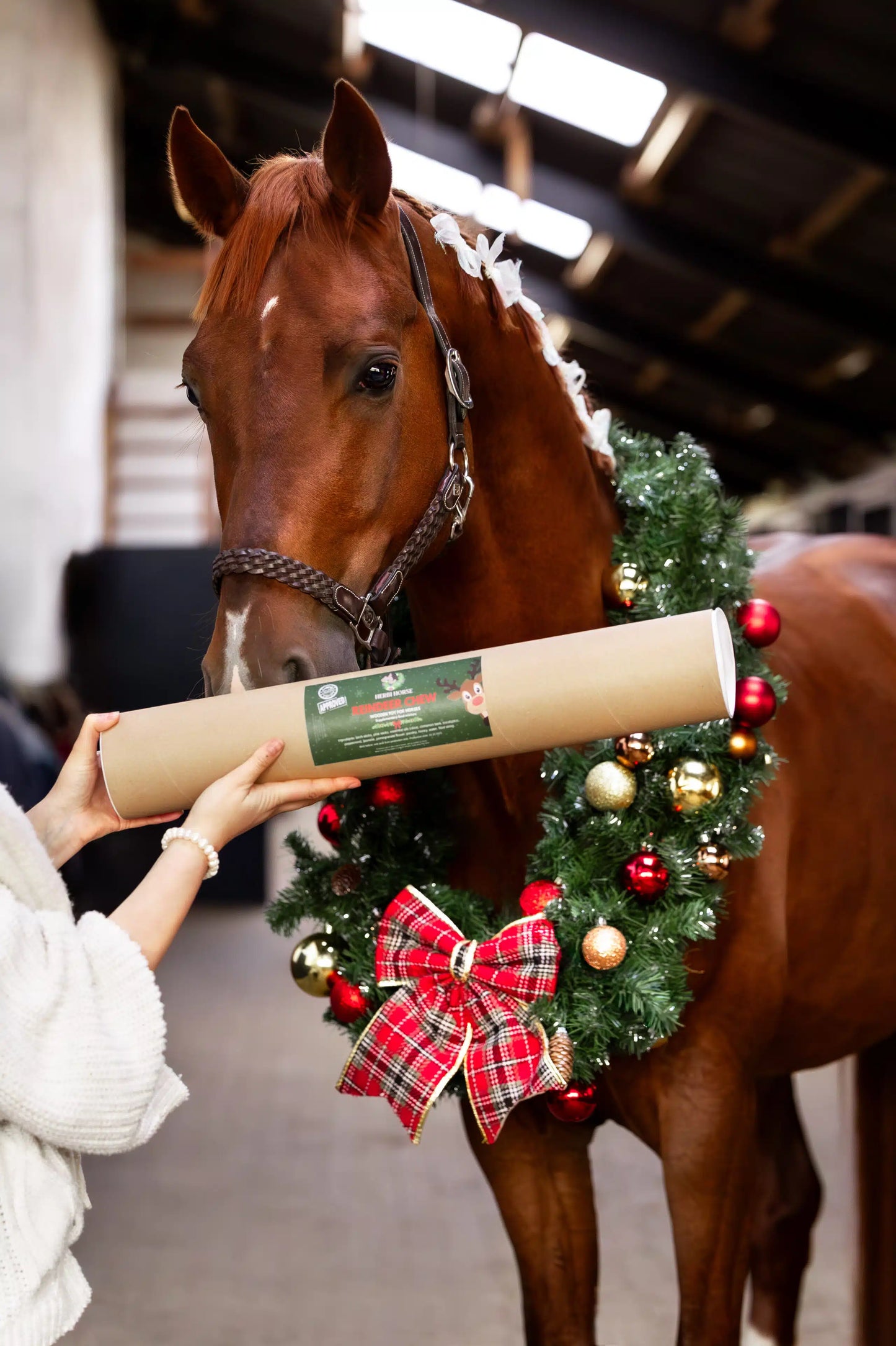 Gioco antistress e massaggia gengive - XMAS EDITION