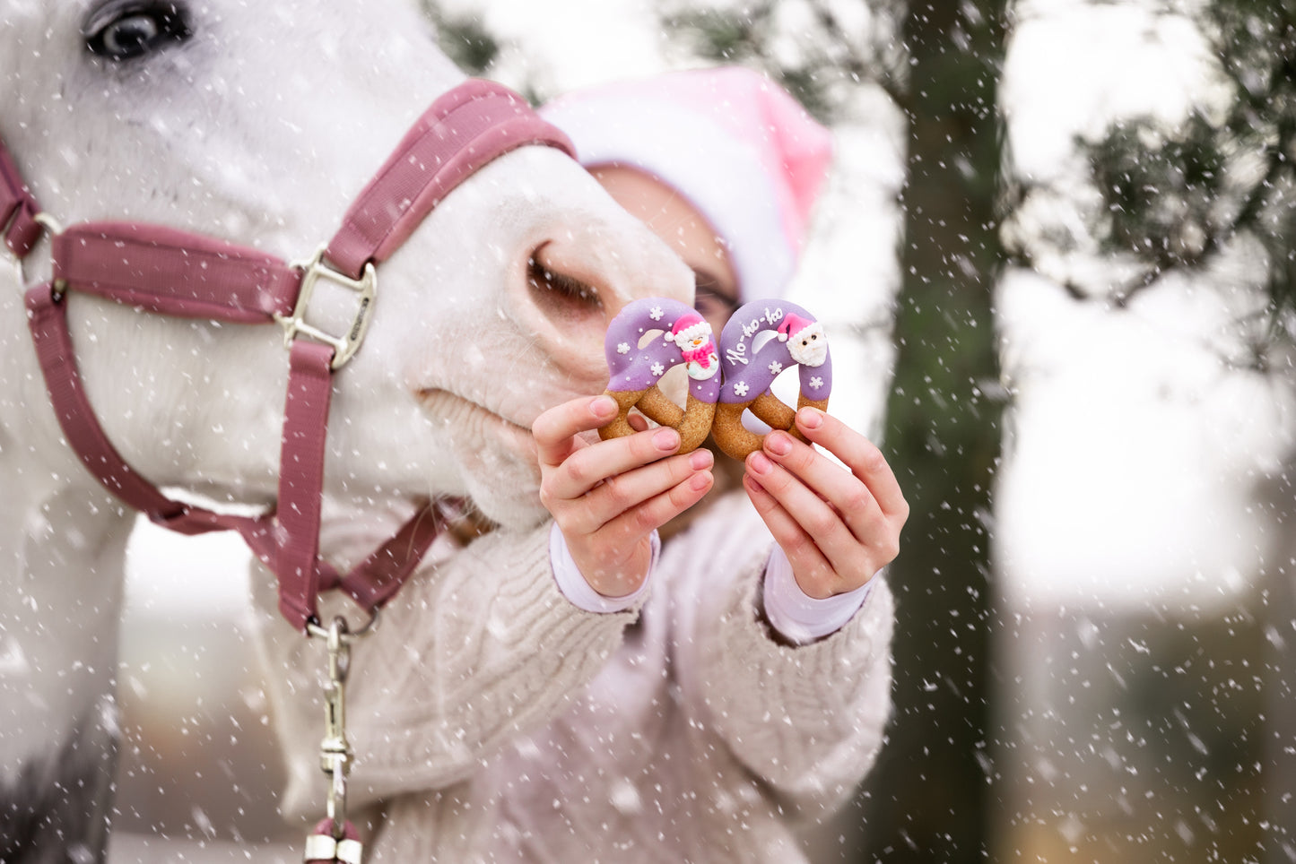 Box 6 pretzels - XMAS EDITION