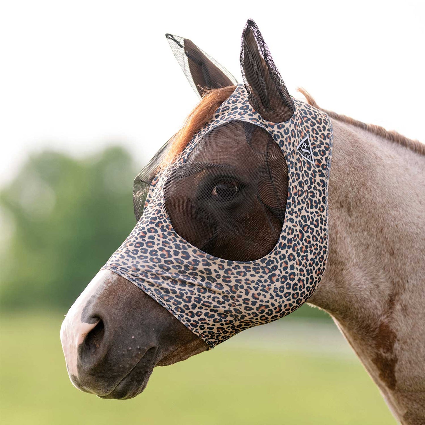 Lycra fly mask