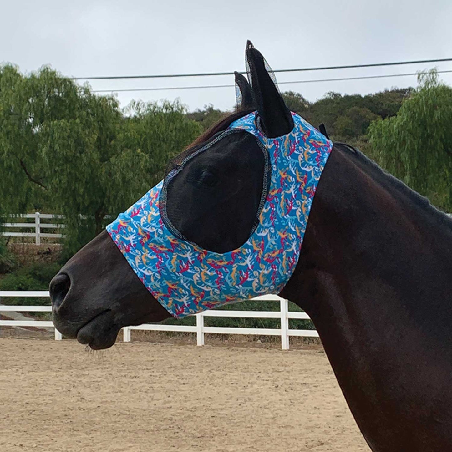 Lycra fly mask