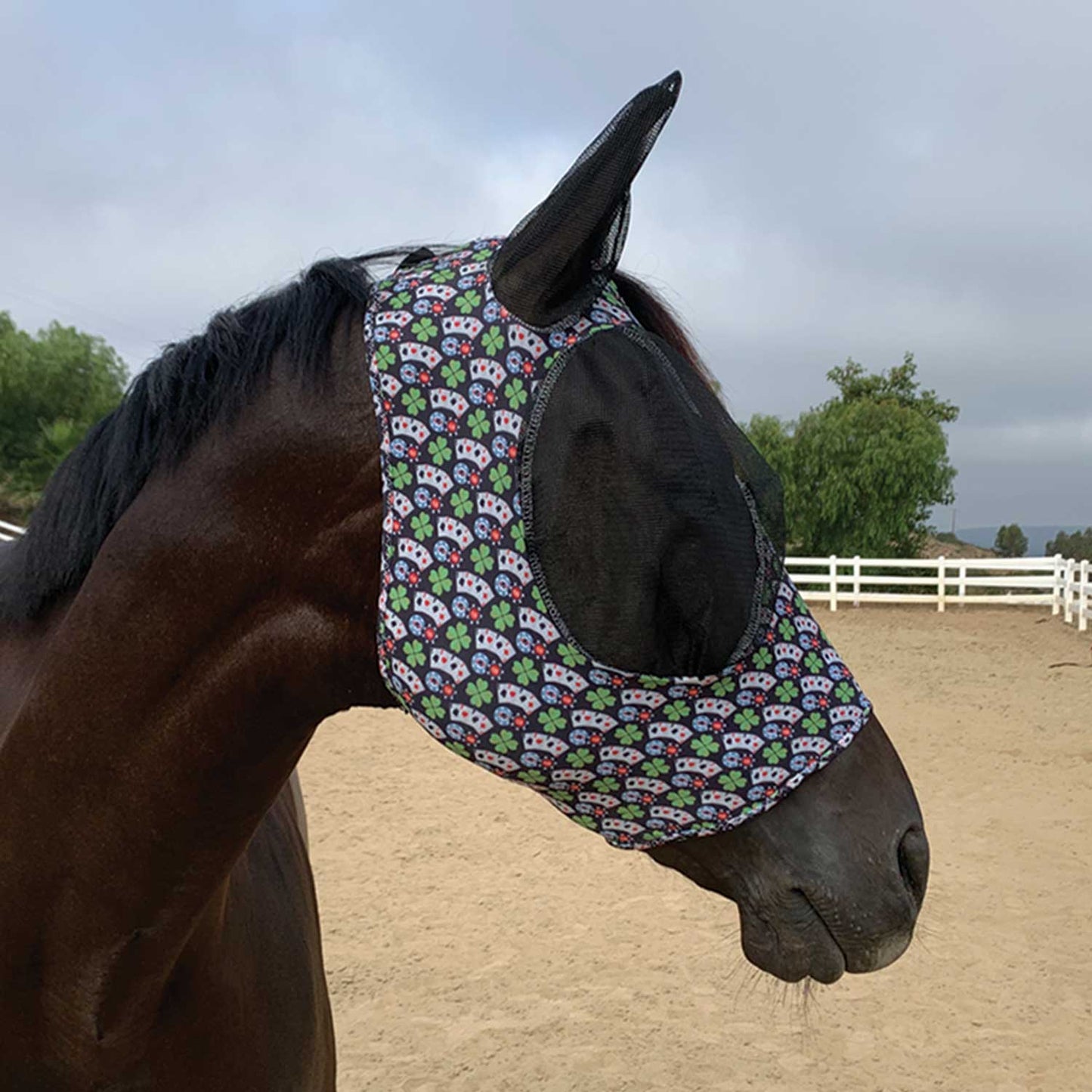 Lycra fly mask