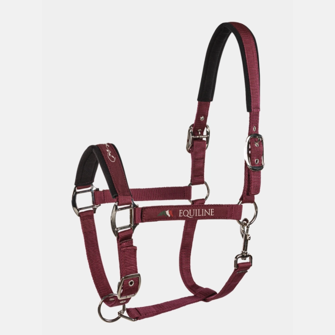 Cavezza TIMMY | Equiline | El gaucho sport