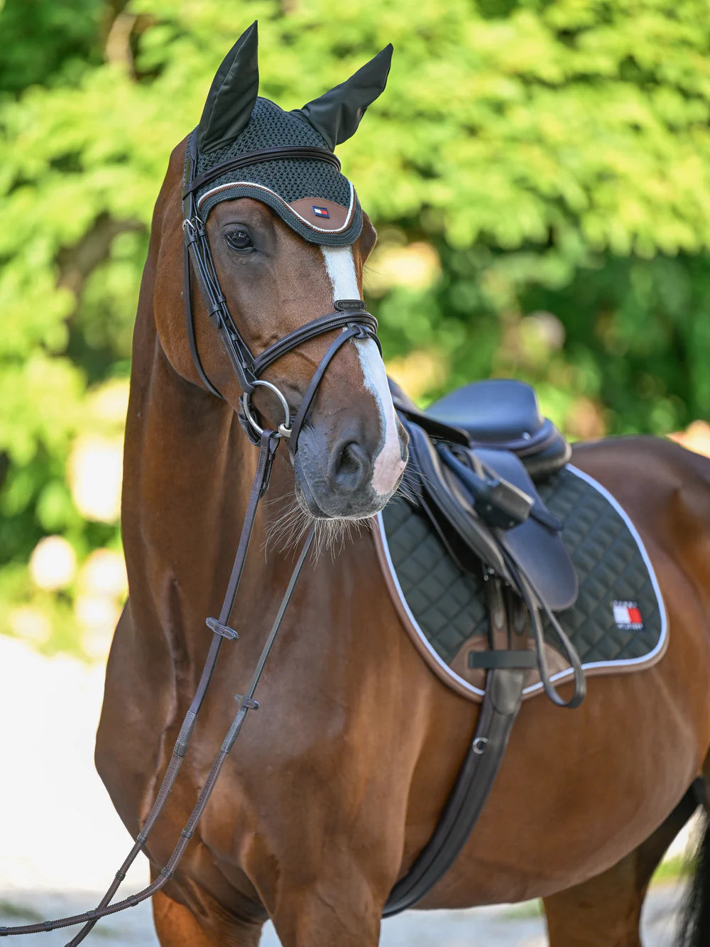 Cuffia anti-mosche Princeton Pine – Tommy Hilfiger Equestrian