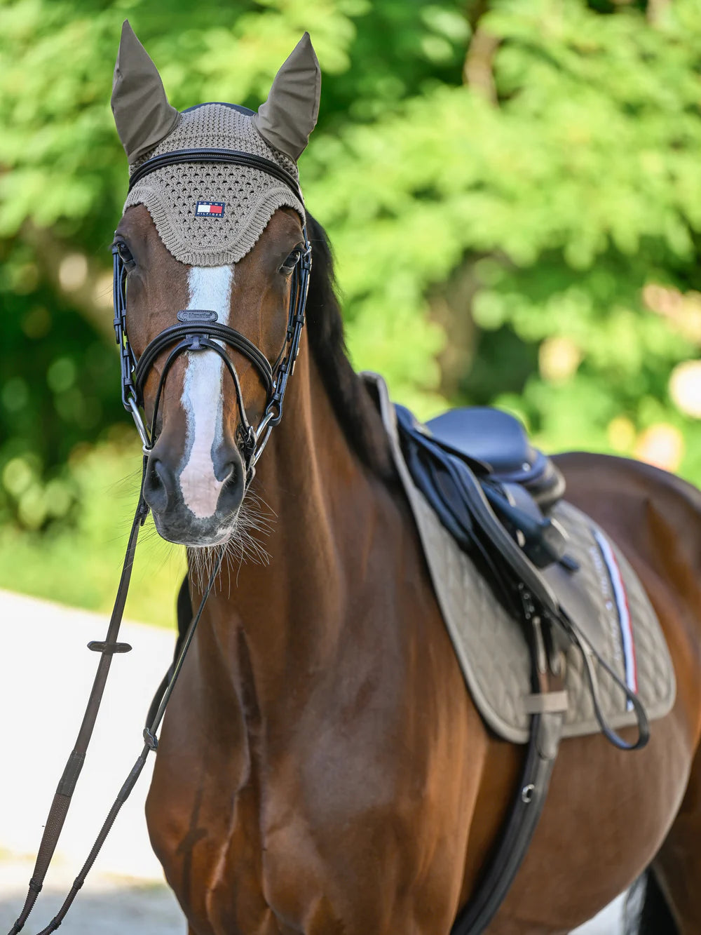 Cuffietta Lexington Fly Hood – Tommy Hilfiger | El Gaucho Sport