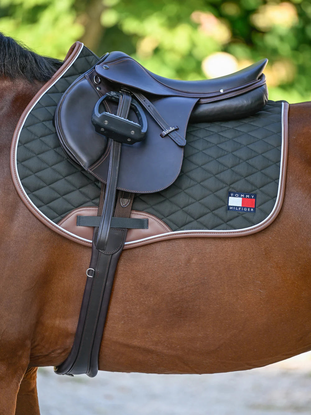 Sottosella da salto Princeton PINE – Tommy Hilfiger Equestrian