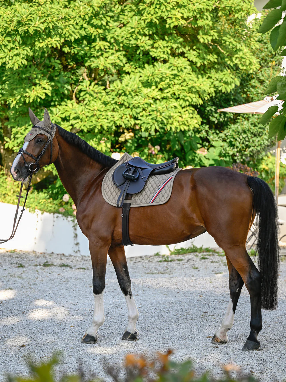 Sottosella da salto Stanford Tommy Hilfiger | El Gaucho Sport