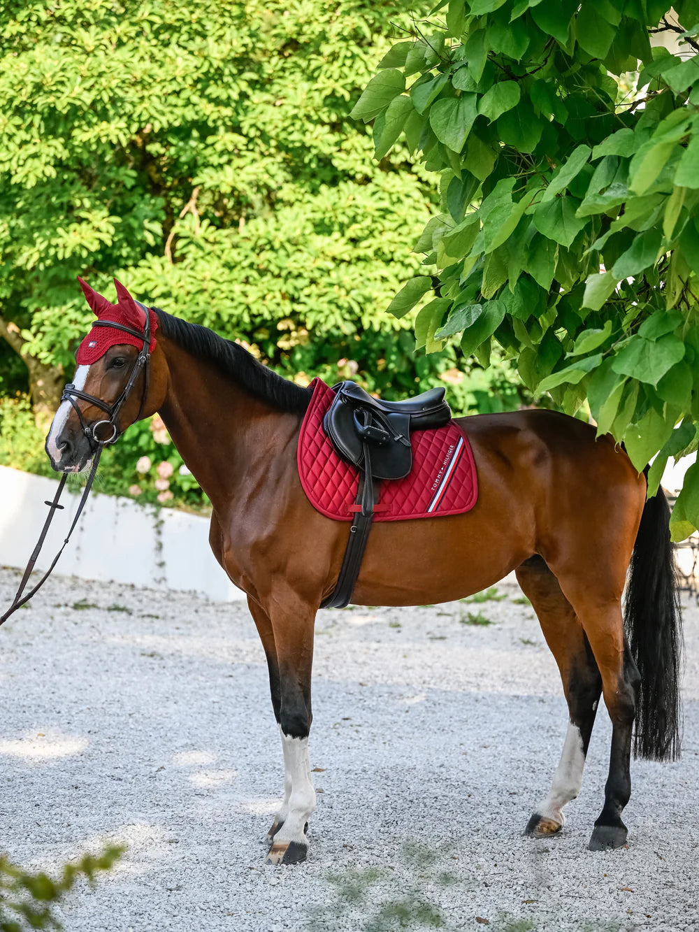 Sottosella da salto Stanford Tommy Hilfiger | El Gaucho Sport