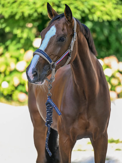 Yale Halter & Rope Set Taupe – Longhina Tommy Hilfiger Equestrian