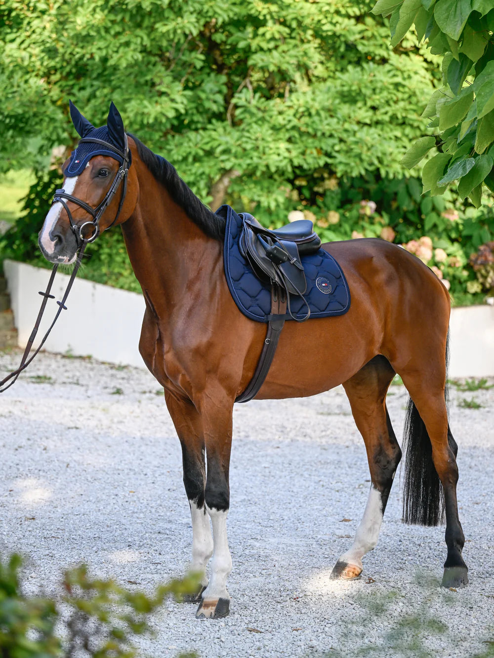 Sottosella da salto Liberty – Tommy Hilfiger Equestrian