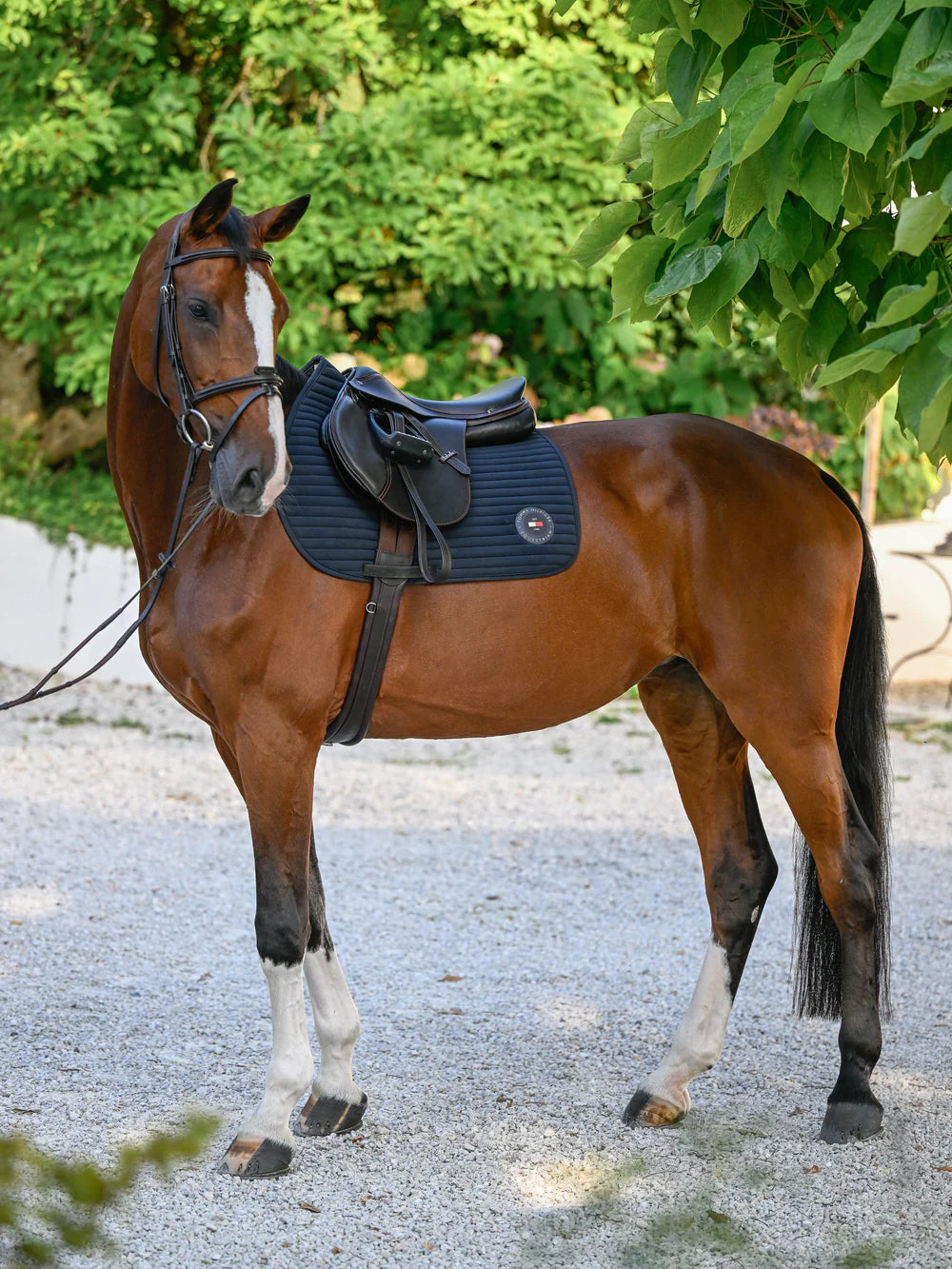 Sottosella da salto Upstate Desert Sky – Tommy Hilfiger Equestrian