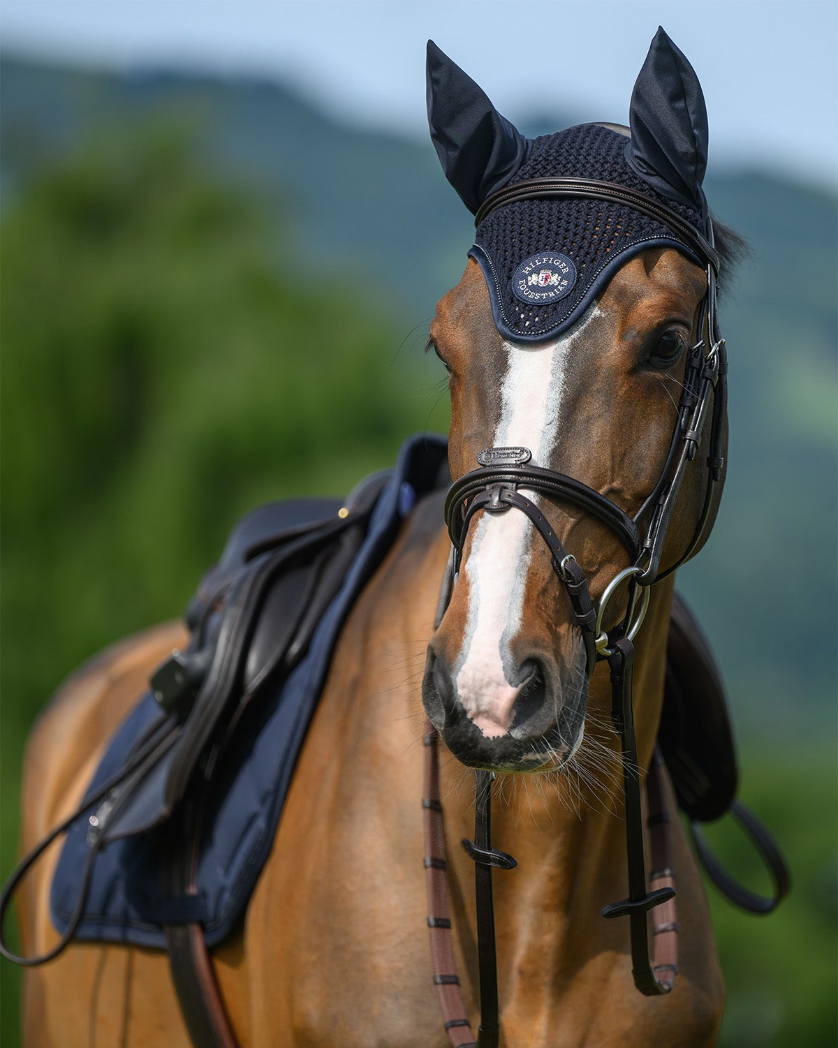 Cuffietta Equitazione Emory con Brillantini Tommy Hilfiger | El Gaucho Sport