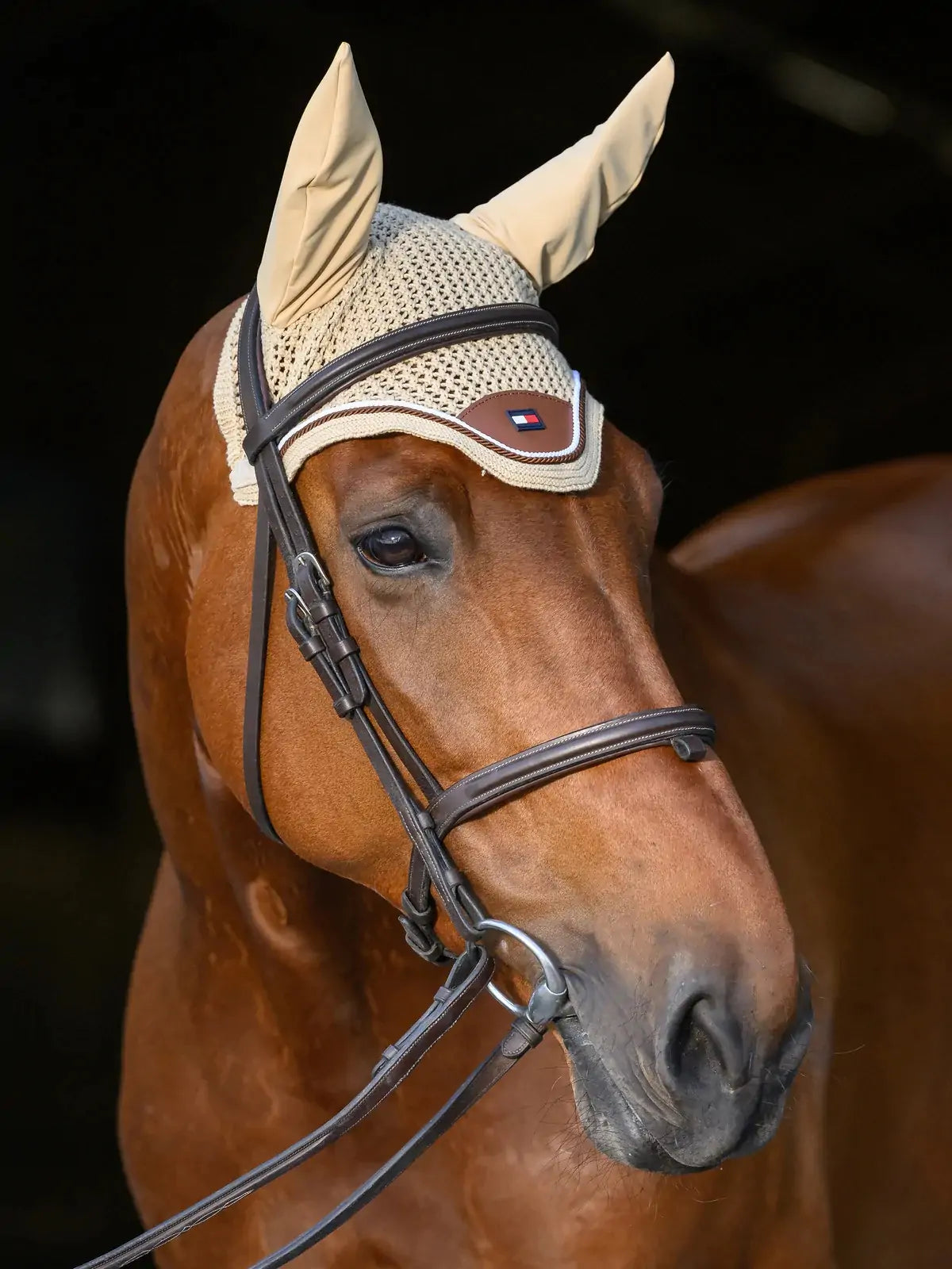 Cuffietta Princeton Tommy Hilfiger | El Gaucho Sport
