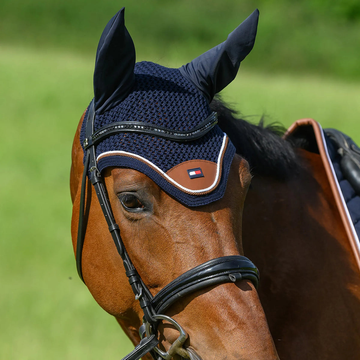 Cuffietta Princeton Tommy Hilfiger | El Gaucho Sport
