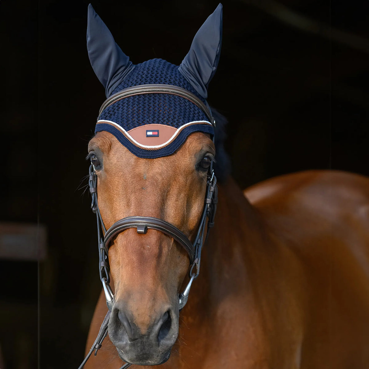 Cuffietta Princeton Tommy Hilfiger | El Gaucho Sport
