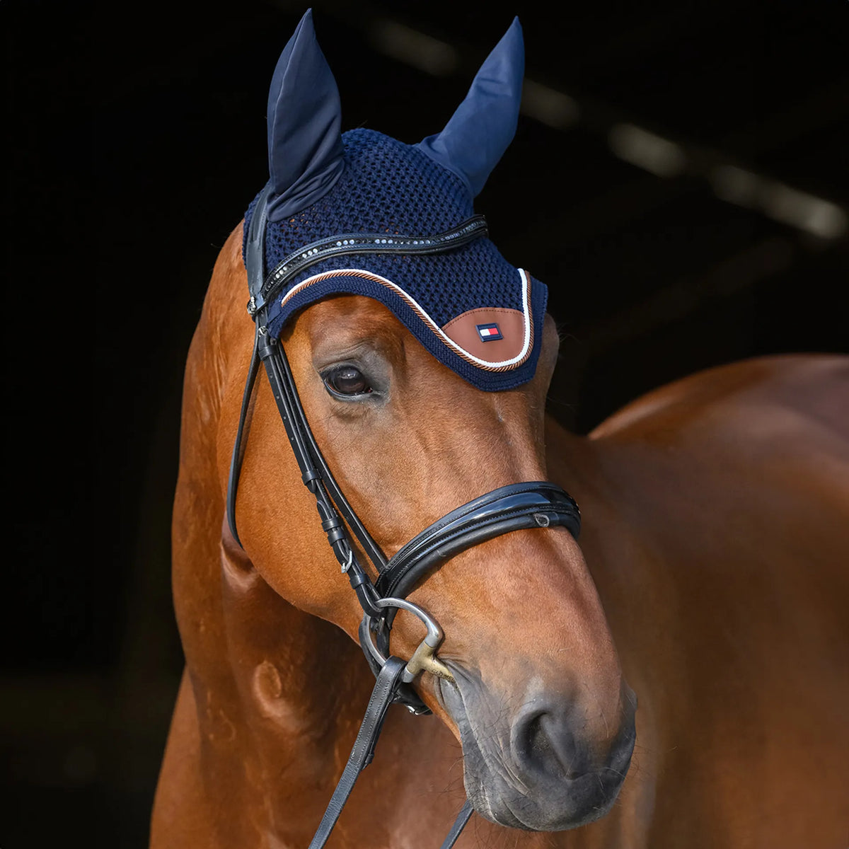 Cuffietta Princeton Tommy Hilfiger | El Gaucho Sport
