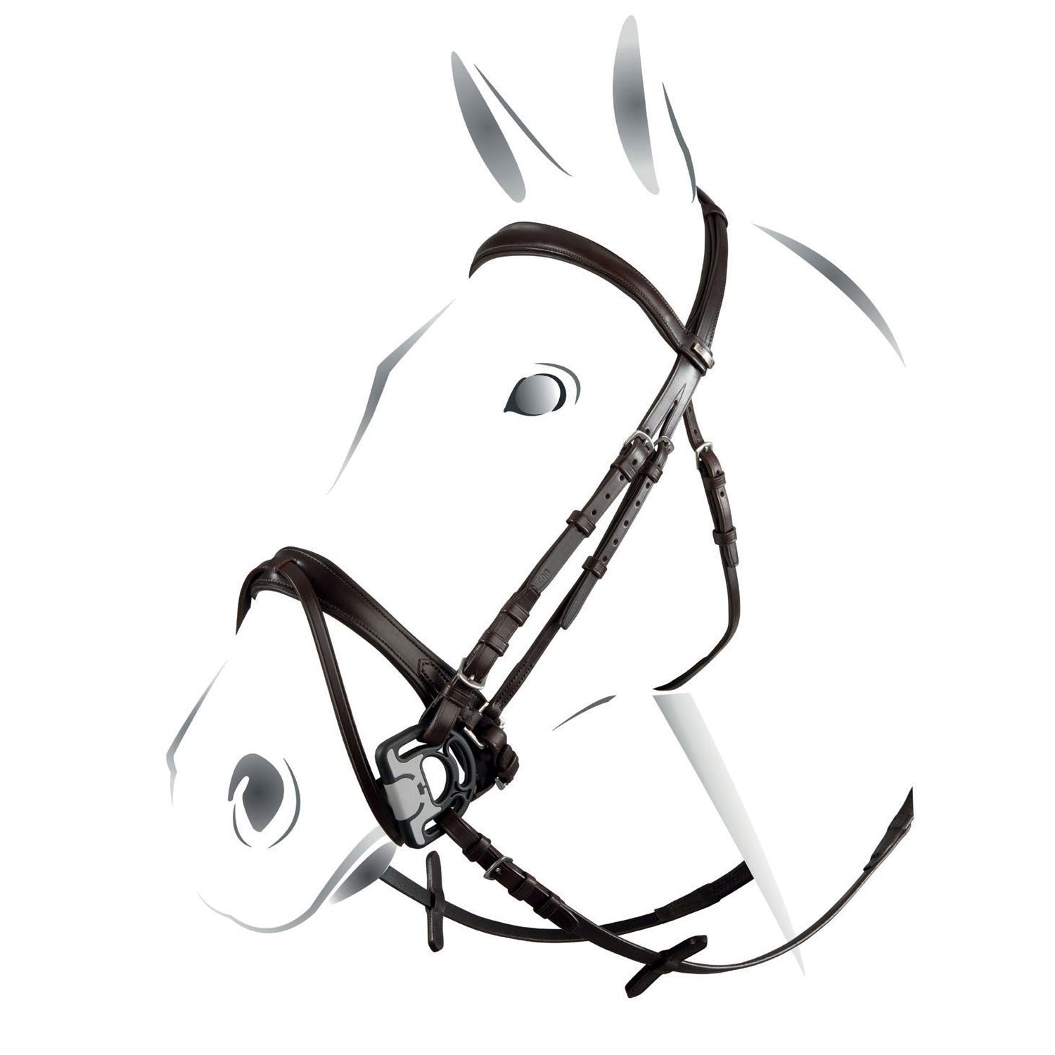 Briglia JUBILEE | Equestro | El gaucho sport