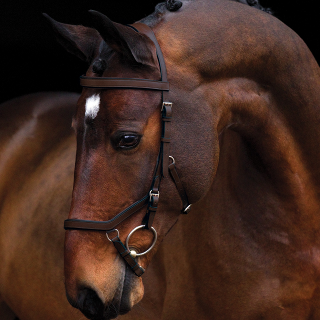 Testiera Micklem RAMBO | Horseware | El gaucho sport