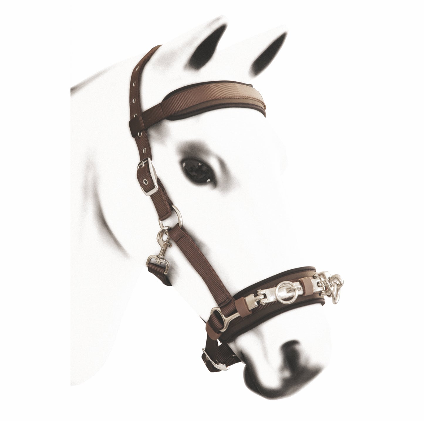 Cavezzone Doma Nylon | Umbria Equitazione | El gaucho sport