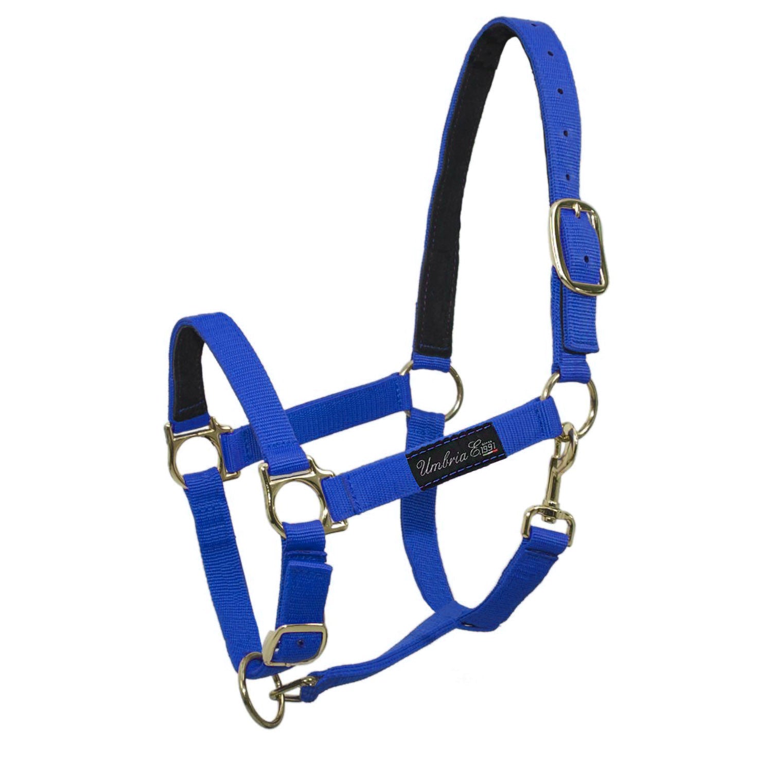 Capezza Dexter con morbido strato interno in pile, cinghia per naso e collo regolabile, blu Capezza Dexter con morbido strato interno in pile, cinghia per naso e collo regolabile, blu