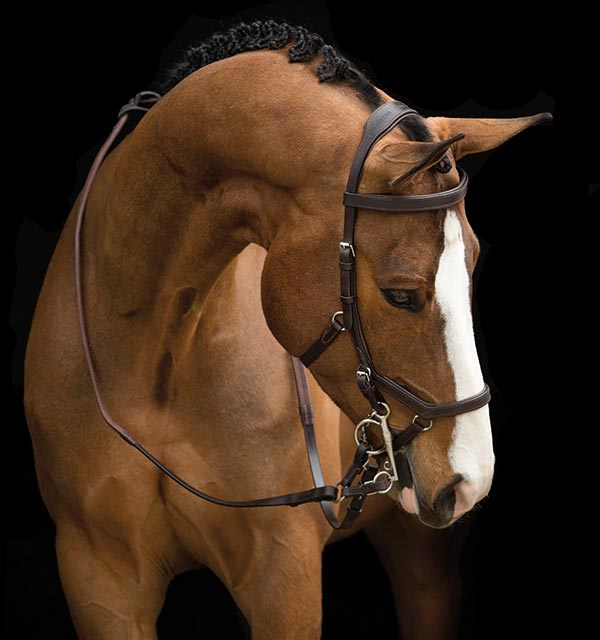 Testiera Micklem RAMBO | Horseware | El gaucho sport